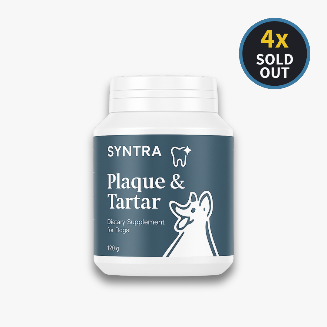 Plaque & Tartar Control