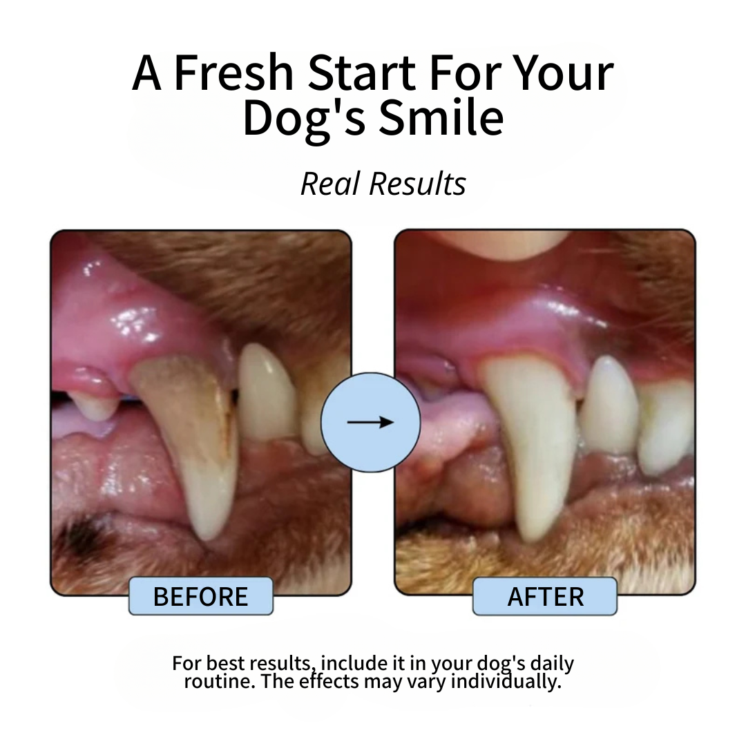 Plaque & Tartar Control