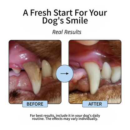 Plaque & Tartar Control
